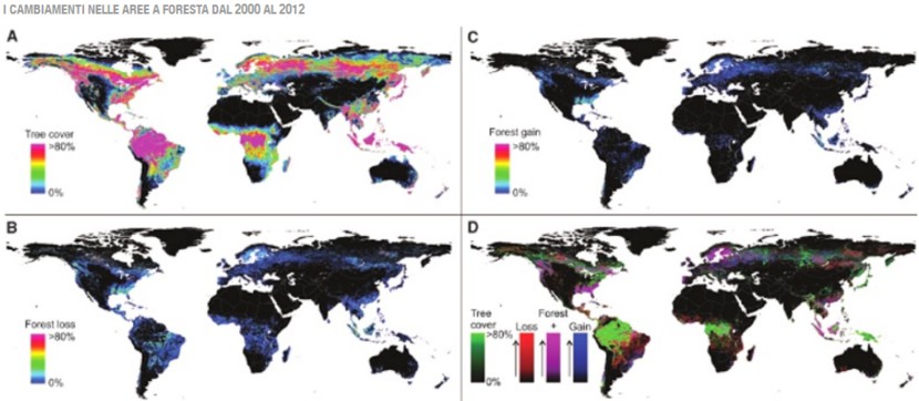 Mappa deforestazione globale